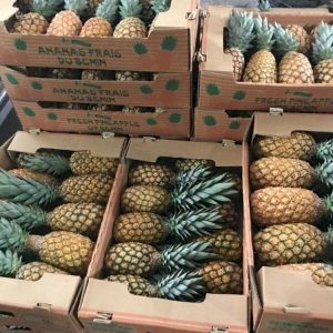 WhatsApp Image 2025-09-15 at 19.27.47