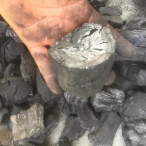 WhatsApp Image 2025-09-16 at 21.41.25 (1)